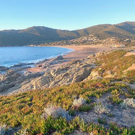 Tres Bel Les Pieds Dans L'eau