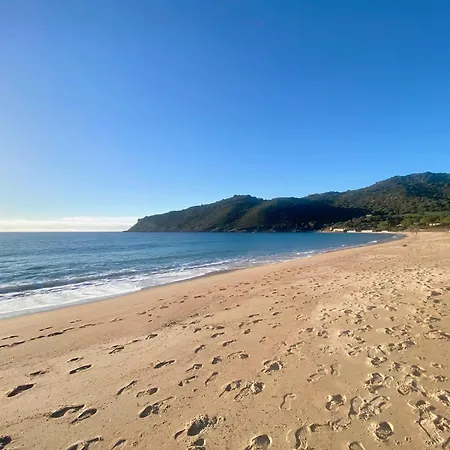 Tres Bel Les Pieds Dans L'eau