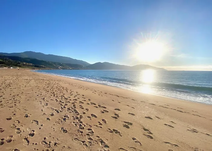 Tres Bel Les Pieds Dans L'eau Appietto